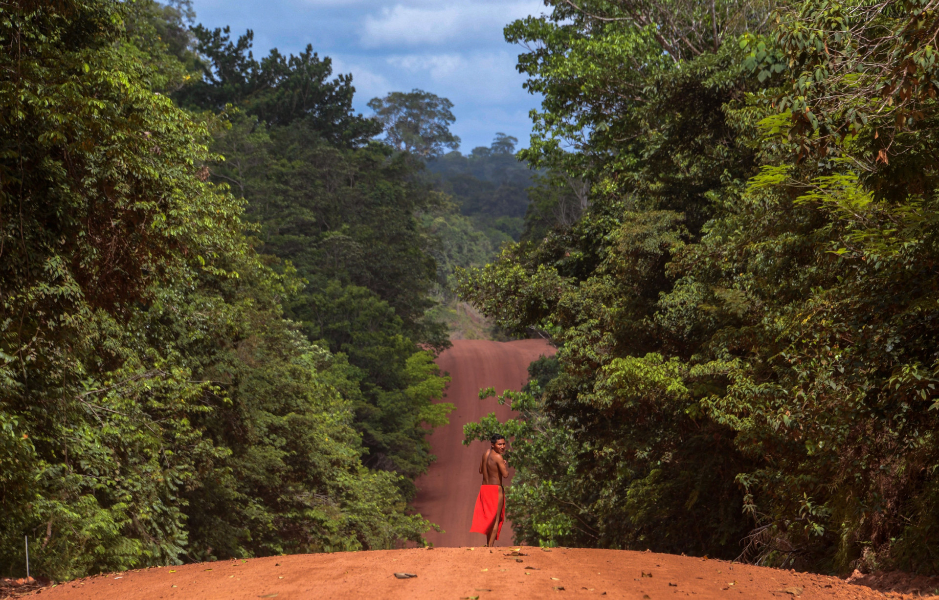 30-woods-and-jungles-for-nature-lovers