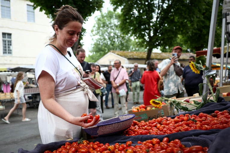 enceinte-et-en-campagne-marine-tondelier-expose-sa-conception