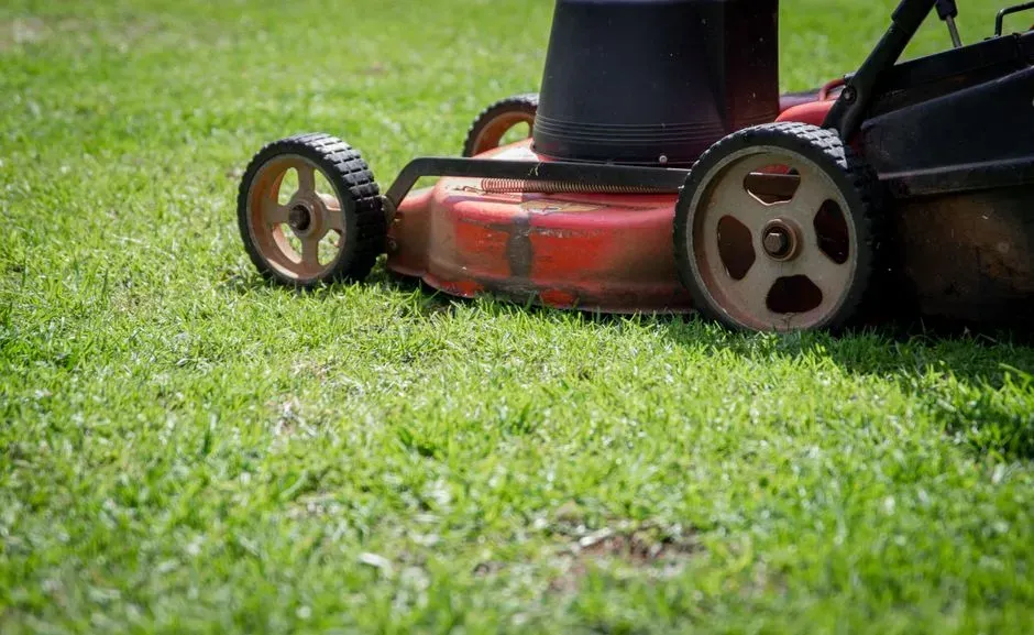 13 things you don't need to keep buying for your home after retirement