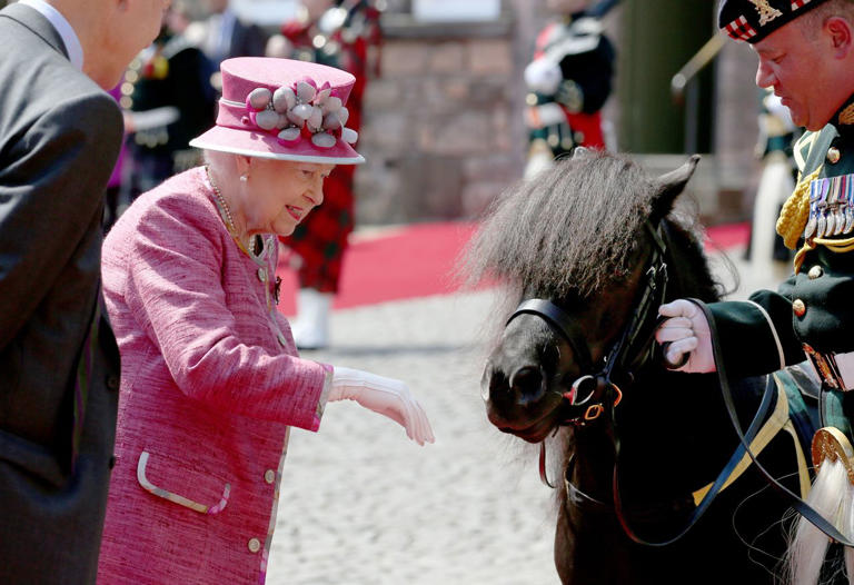 King Charles arrives at Balmoral and is greeted by pony with a funny ...