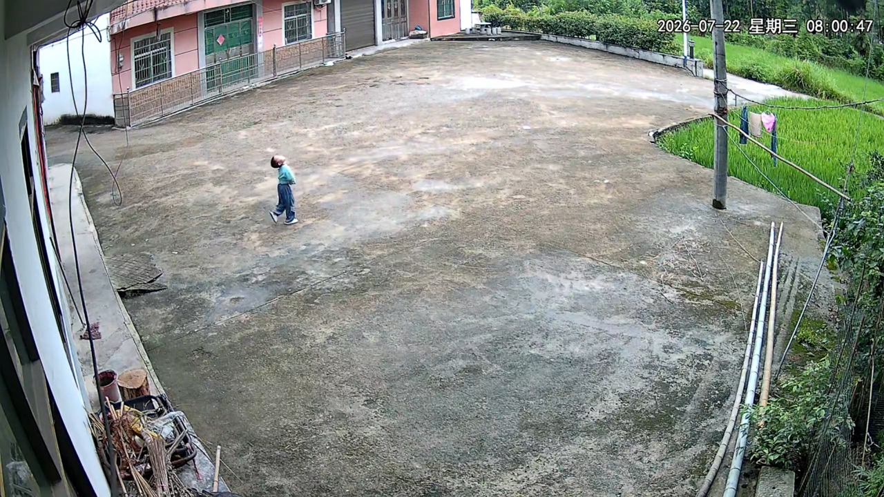 boy-walks-into-bush-while-staring-up