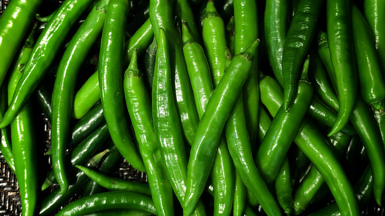 The ultimate guide to Thai chili peppers