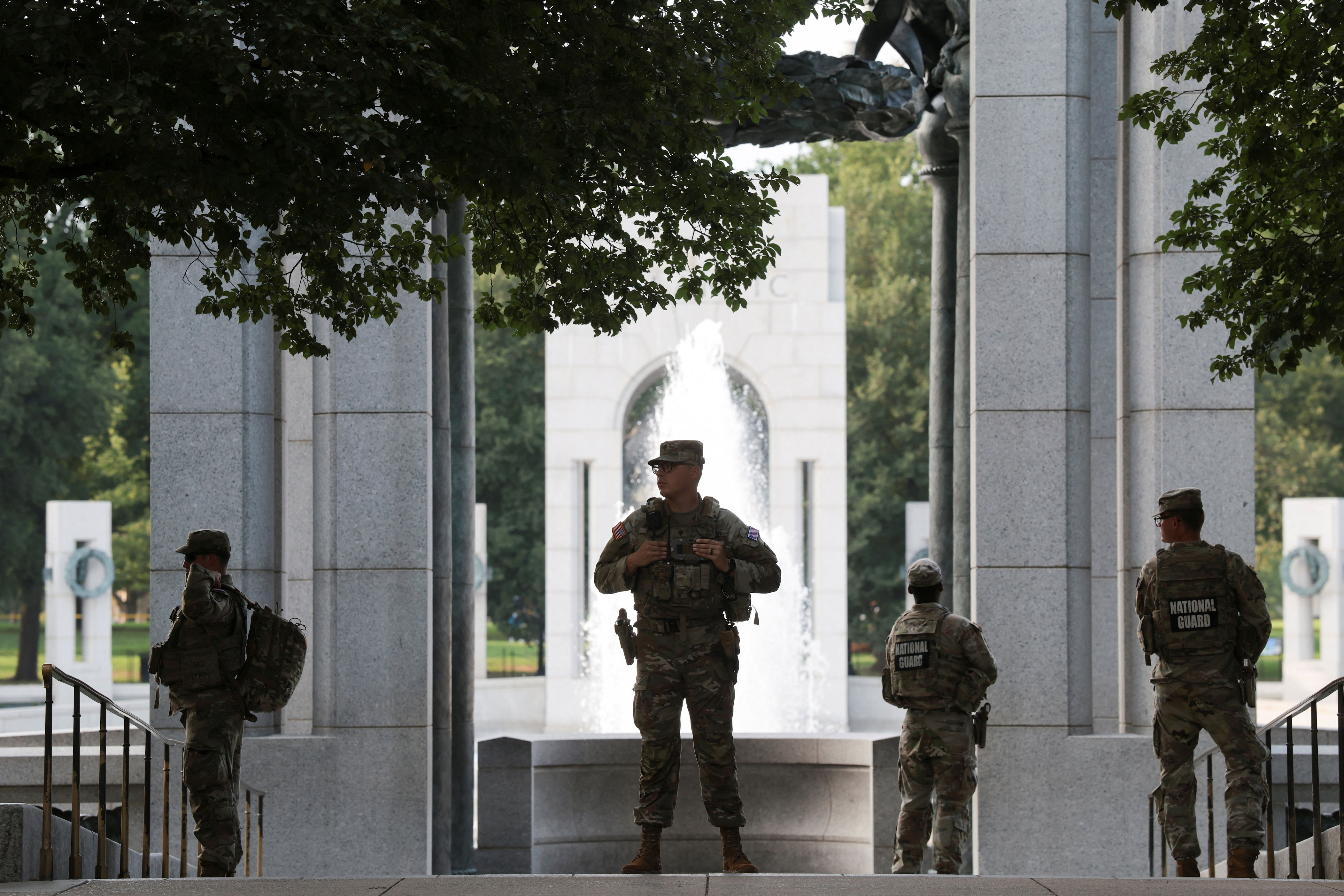 Addicted to the Guard: Generals call for traffic cop to control state ...
