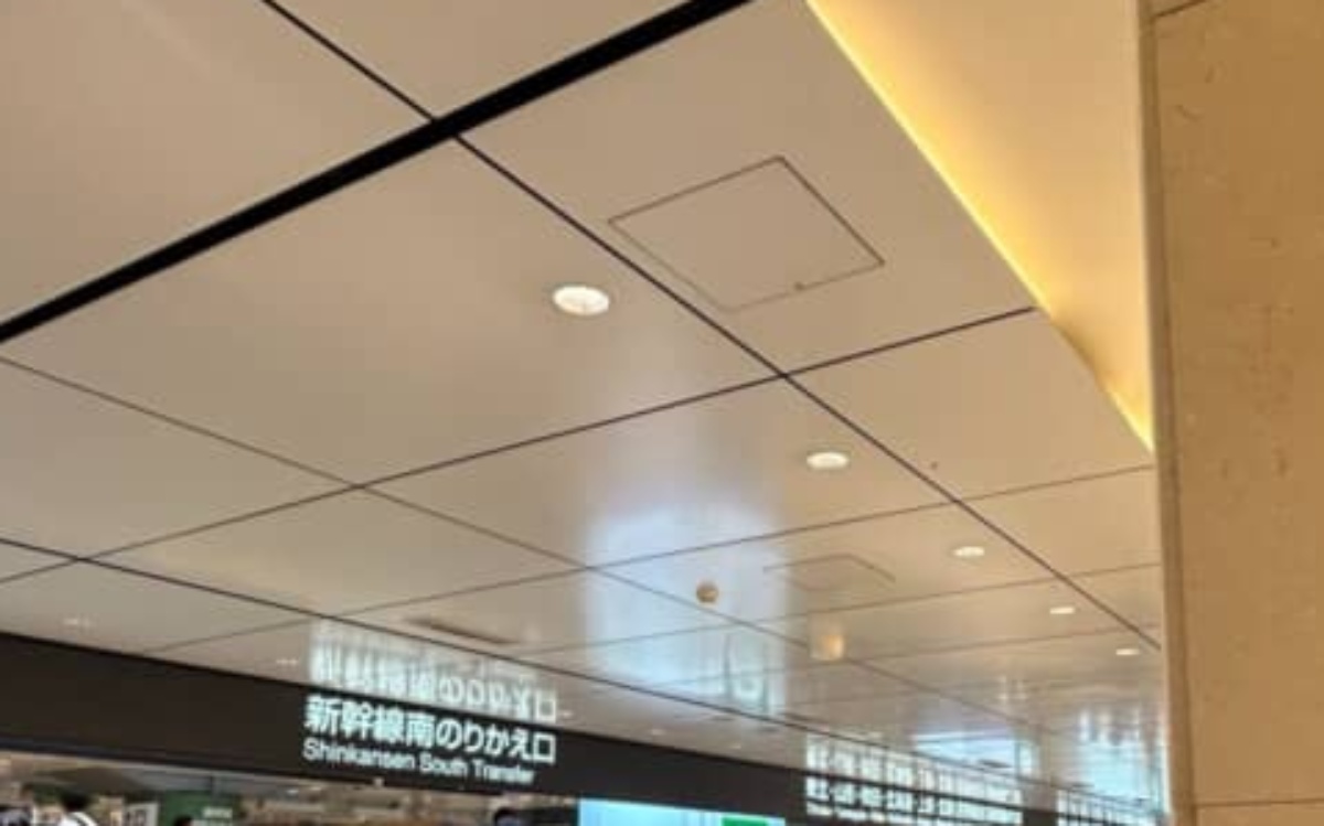 東京駅にある“石の柱”→近づいてよく見ると…… 驚きの光景に「今度東京駅に行ったとき見てみます」