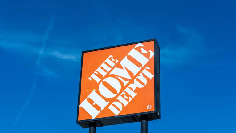 Home Depot's beautiful wood cat tree looks like a houseplant with 5 ...
