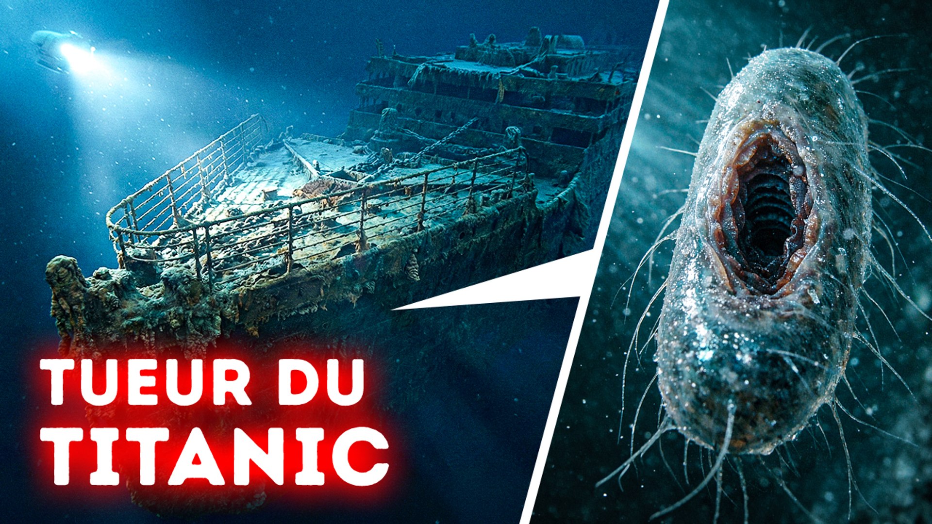 Pourquoi certains navires anciens résistent au temps, alors que le ...