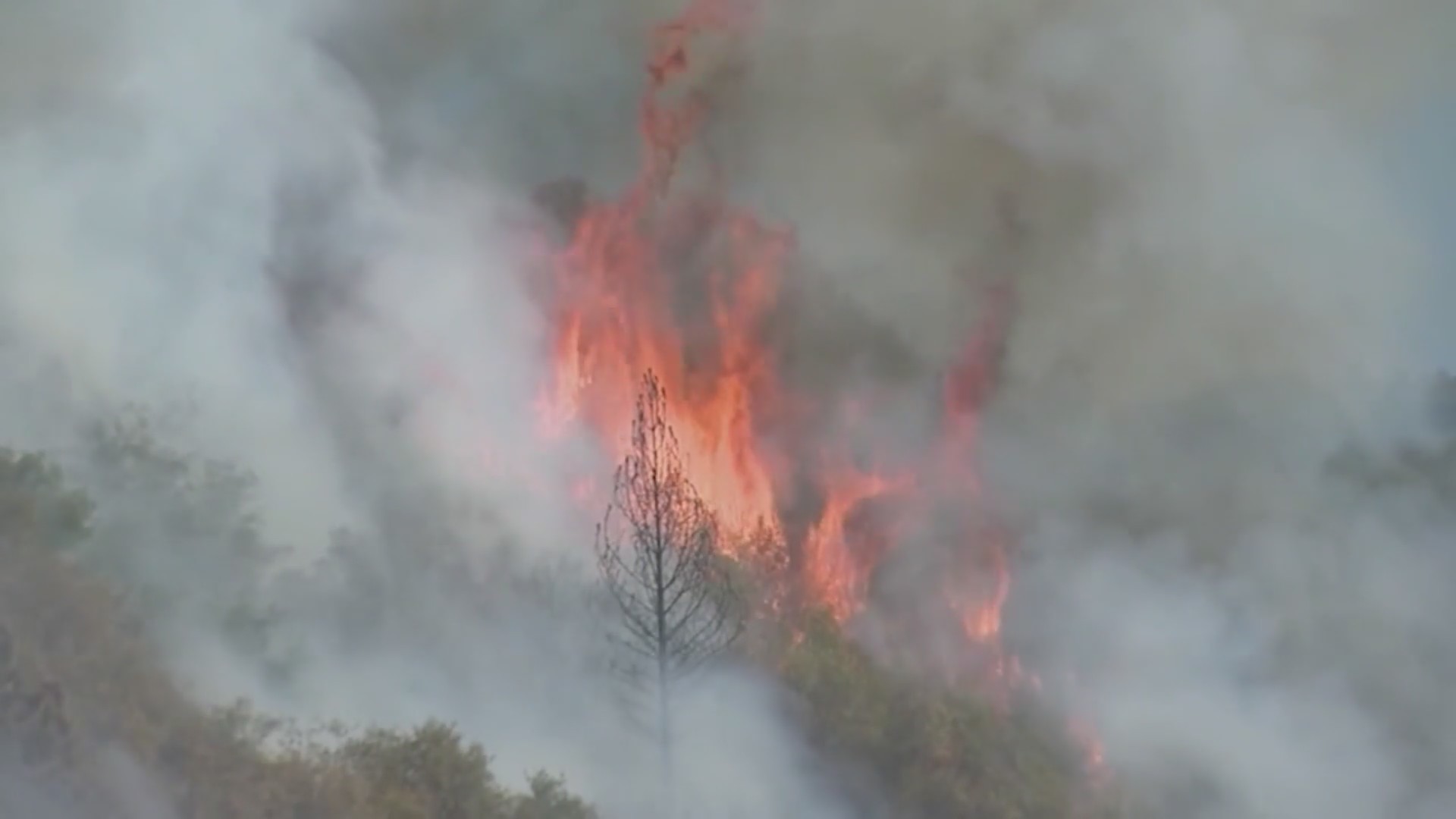 Pa. firefighters leaving to help aid against Minnesota wildfires