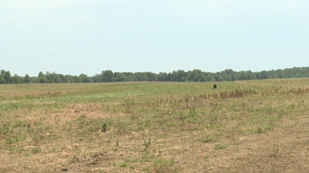 New county-by-county Arkansas wildfire map tracks actives fires and ...