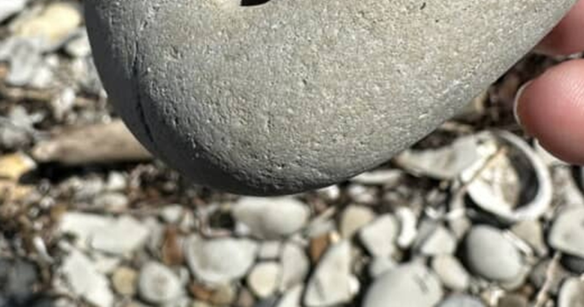 海岸で転がっていた石→拾ったら……「これはすごい!」驚きの光景に「うらやましい」「世界はまだまだ面白い」と521万表示