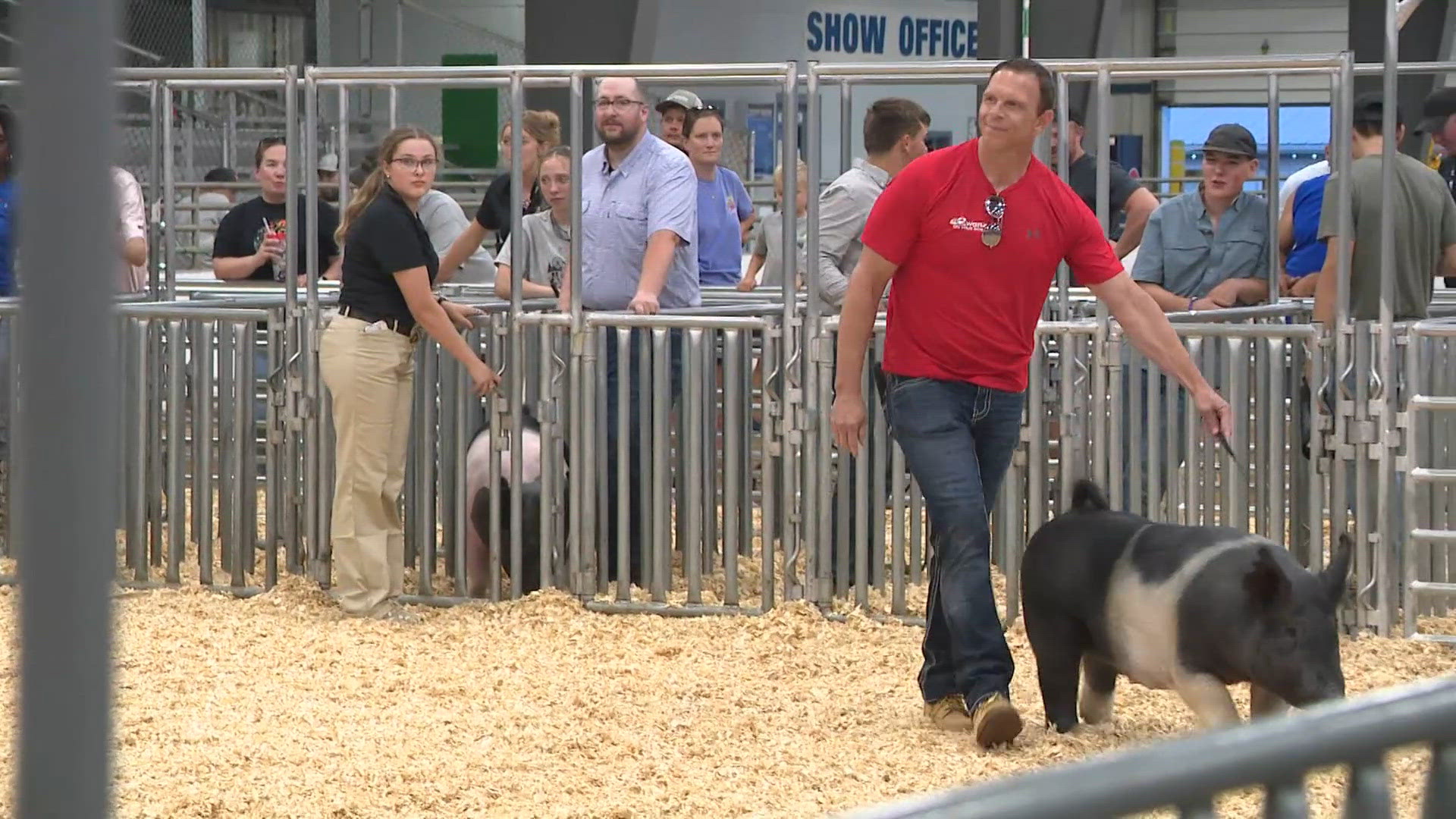 A weatherman and a pig walk into a bar...