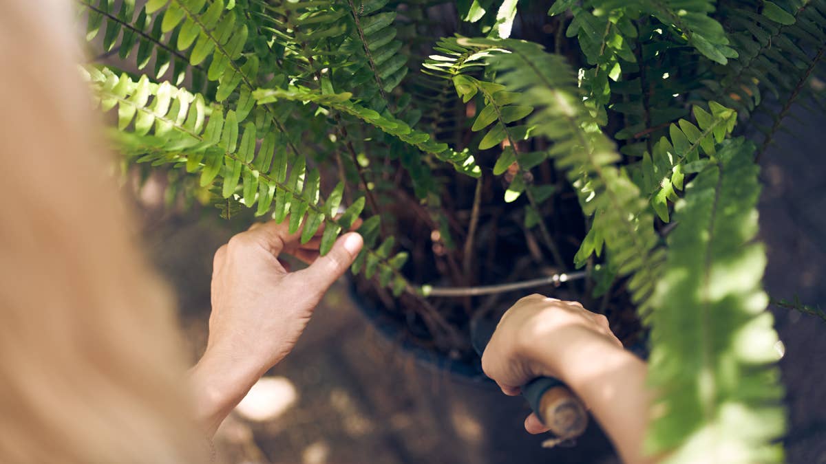 Transform your small balcony with a simple DIY floating plant bed for ...