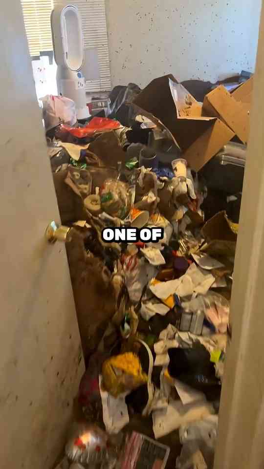 Inside a severe cockroach infestation cleanup