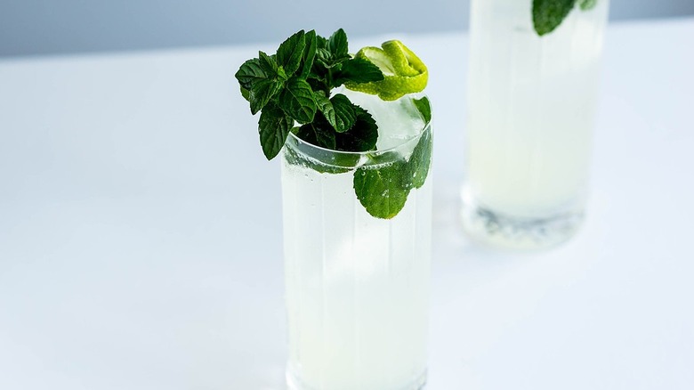 Refreshing mojito cocktail recipe