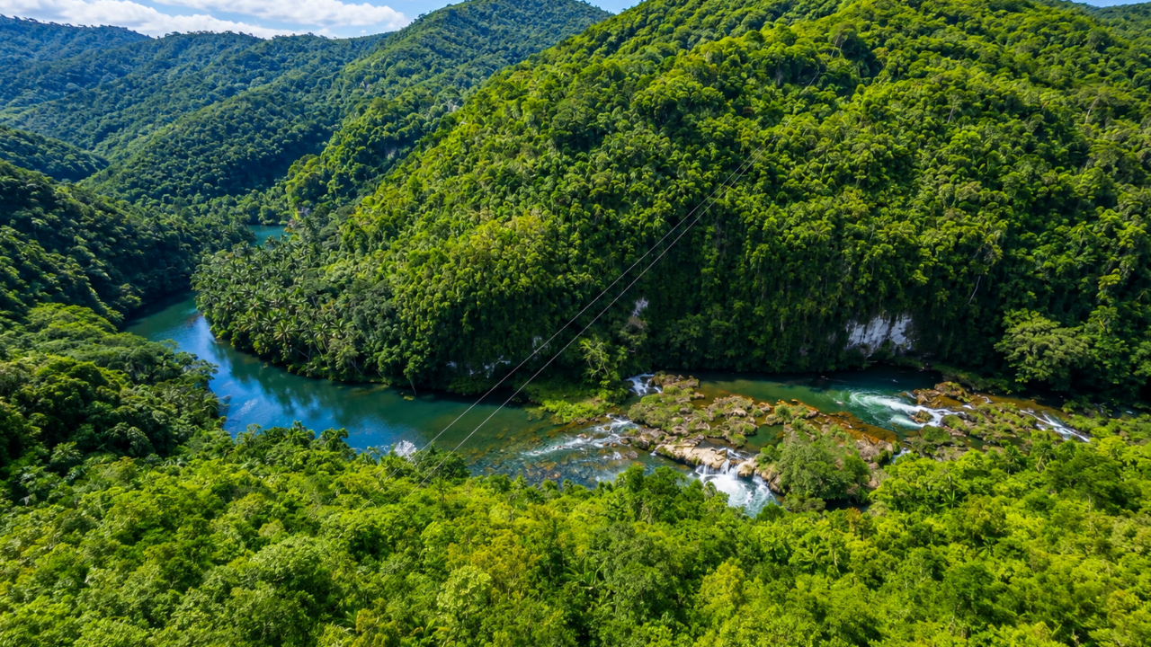 التحليق فوق نهر الغابة في بوهول عبر خط انزلاقي بطول 1 كم (4K)