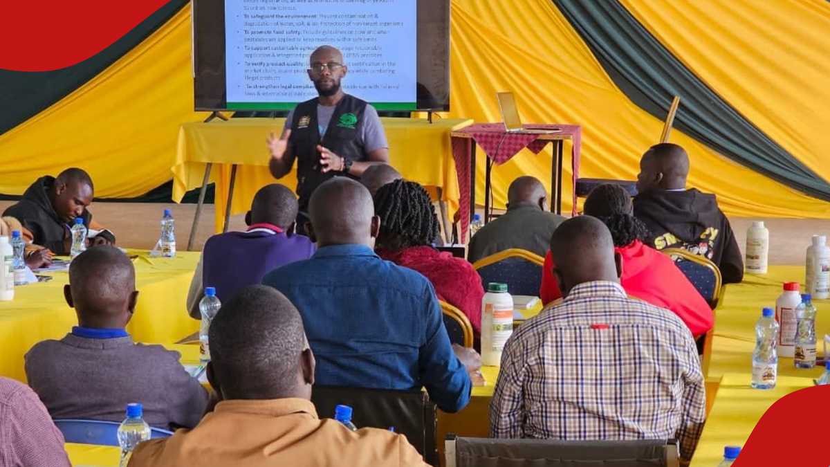 Pest Control Product Board announces jobs for Kenyan professionals