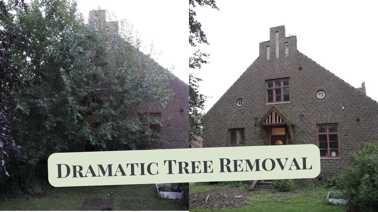 Cutting back trees to protect my home