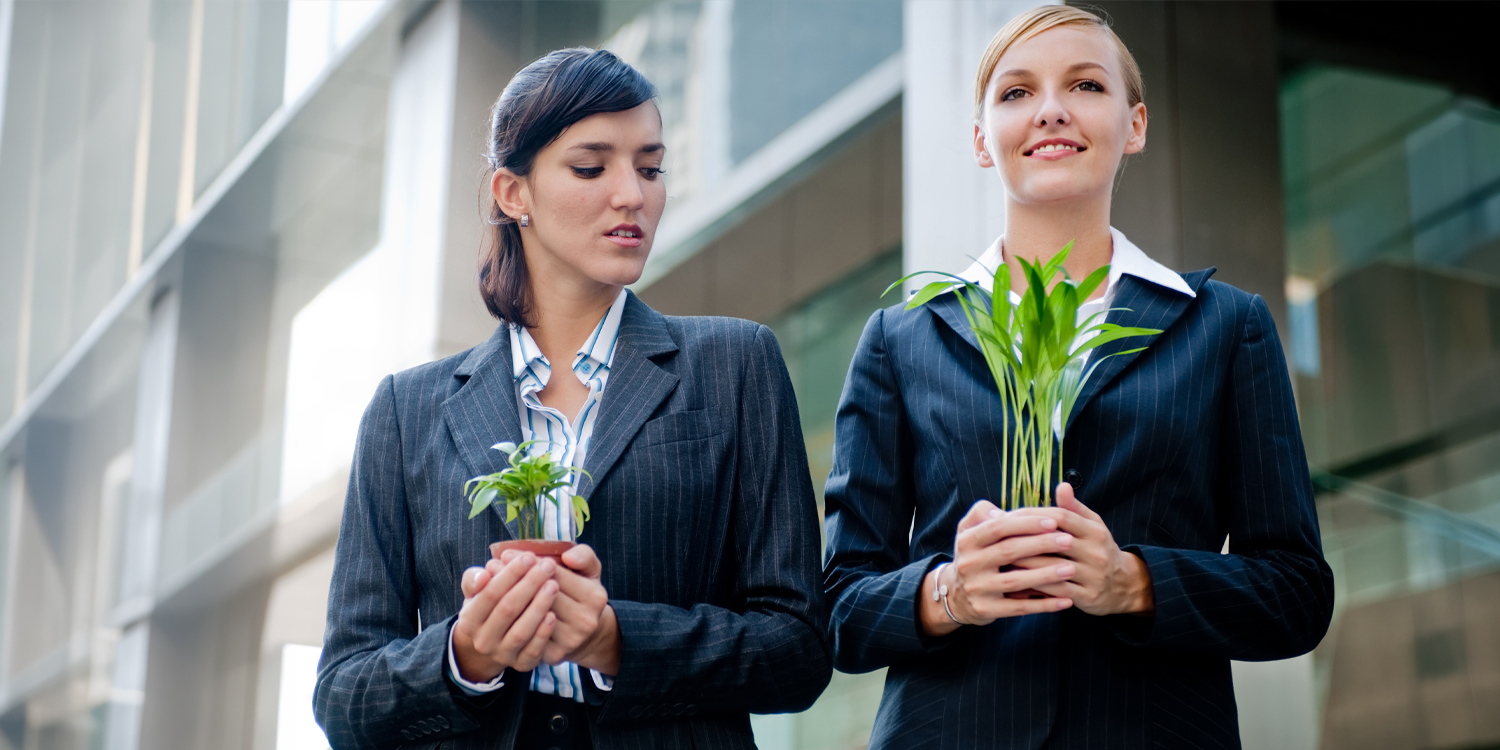 Emotional intelligence predicts whether envy leads to self-improvement ...