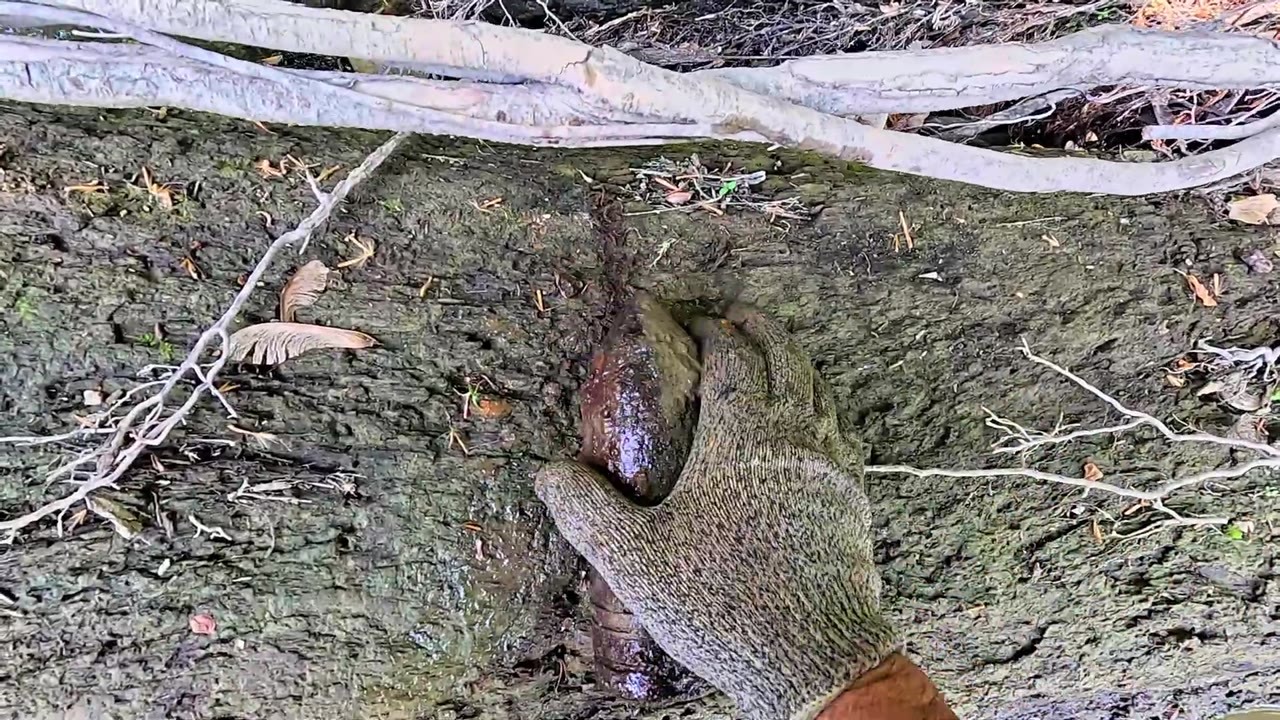 He pulled a military artillery shell from the river and had no idea ...