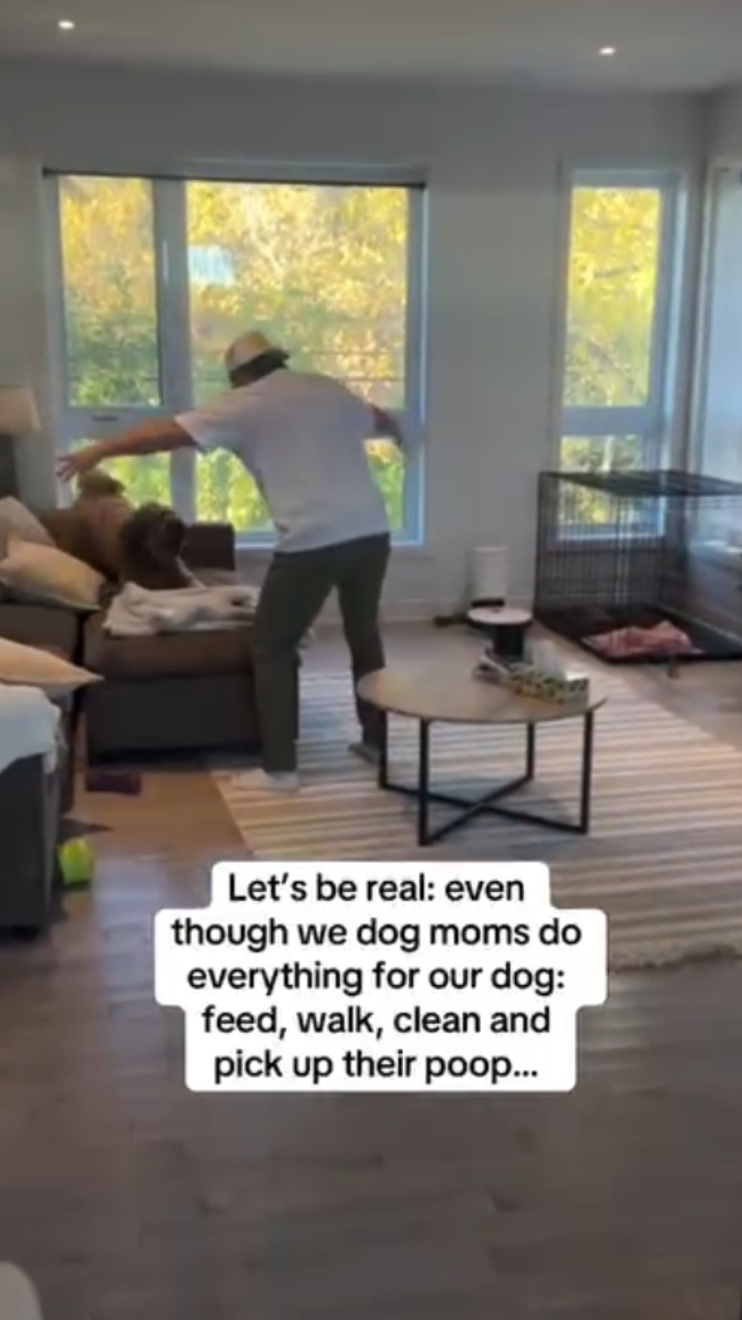 Dog behavior moments that make owners laugh