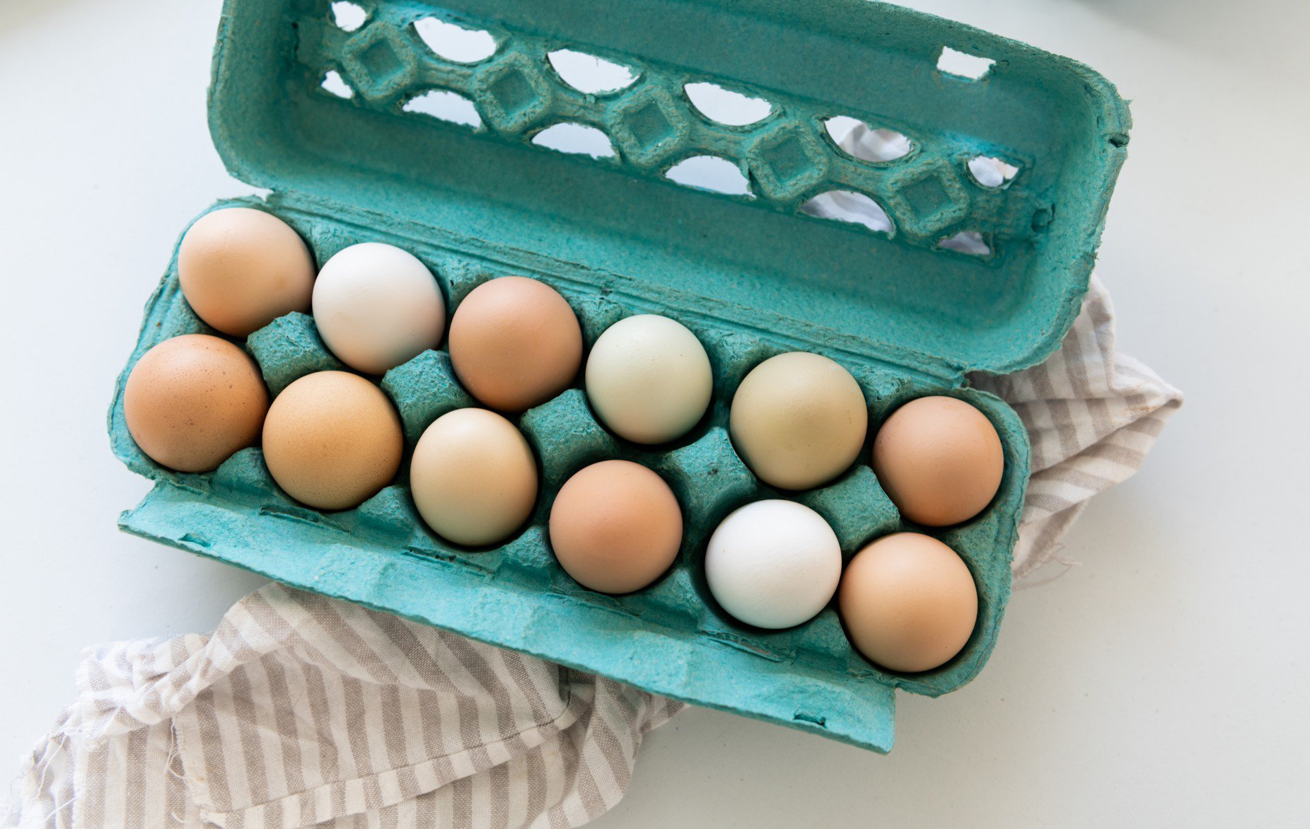 Is it safe to eat eggs? Protect yourself from salmonella amid deadly ...