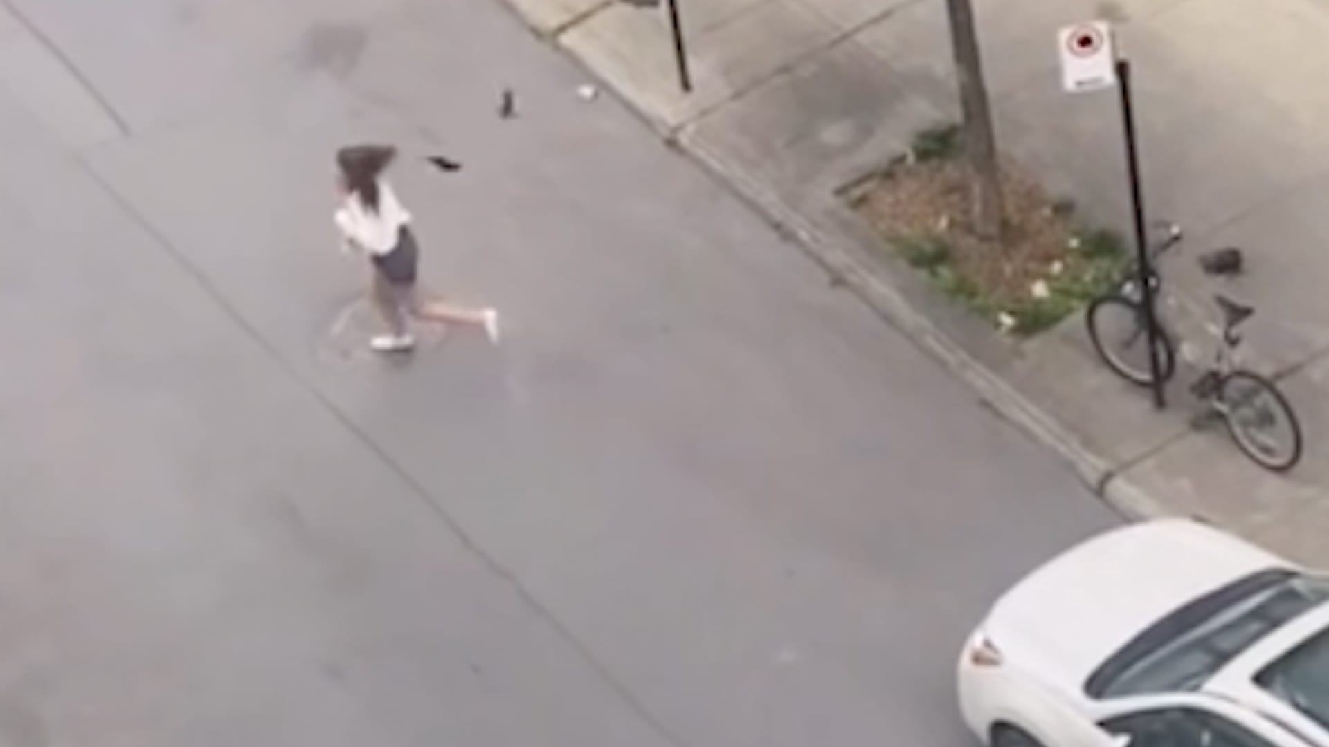 Pedestrians sent fleeing after pair of birds target and attack them
