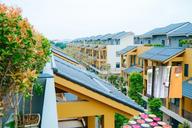 Vụ nữ Việt kiều Mỹ bị xâm hại ở Phú Thọ: Nạn nhân bị chuốc rượu, khống chế bằng sức mạnh