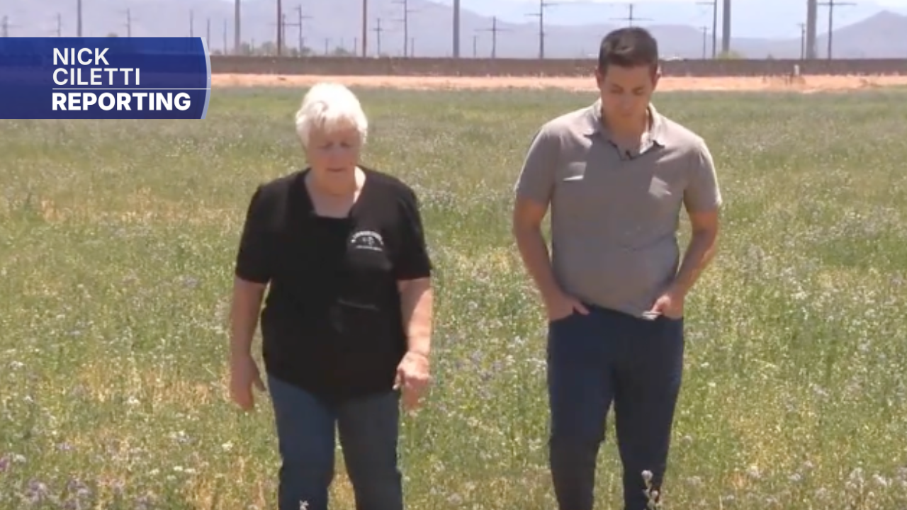 Drought and inflation: How are Arizona farms faring?