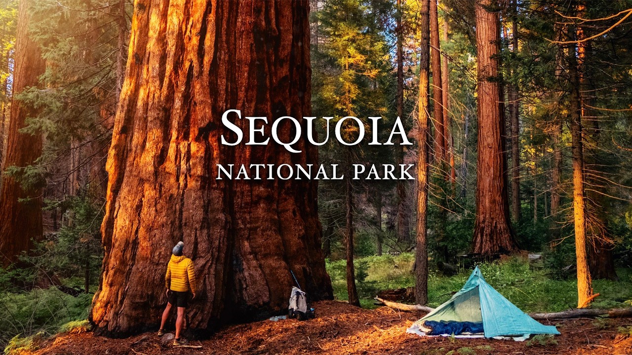 7 days of silent hiking in Sequoia National Park
