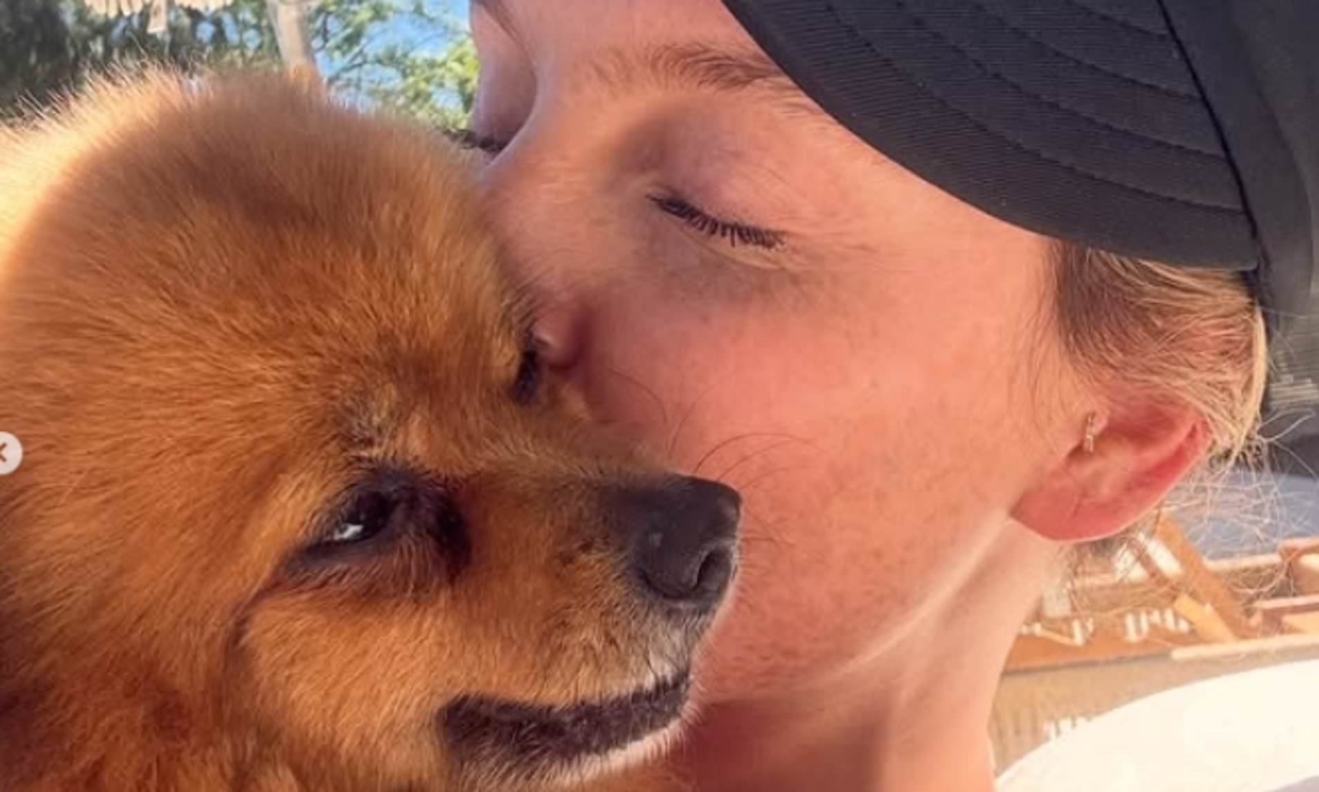 Perrie Edwards says 'my heart is broken' as she announces her beloved dog has died