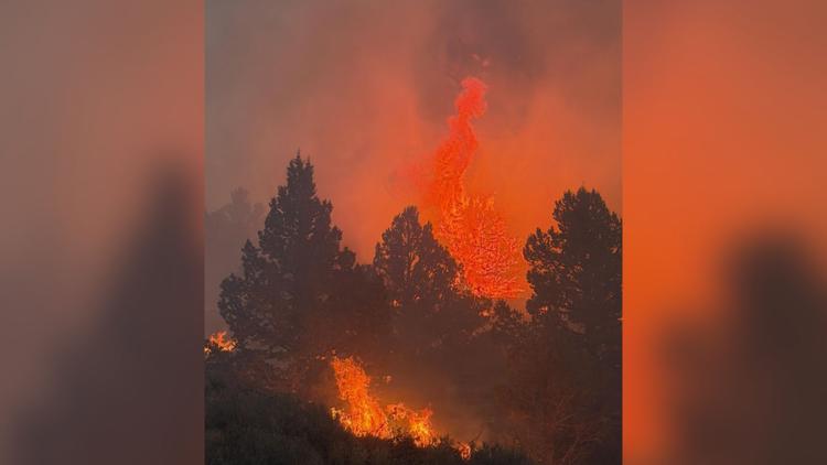 Big grass fire: 'Gusty winds' impact over 578K-acre wildfire, red flag warning in effect