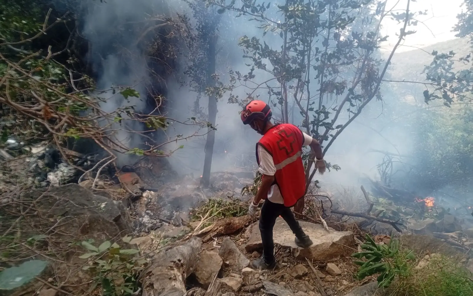 Ecuador’s intel chief, 5 Americans killed in Kenya helicopter crash