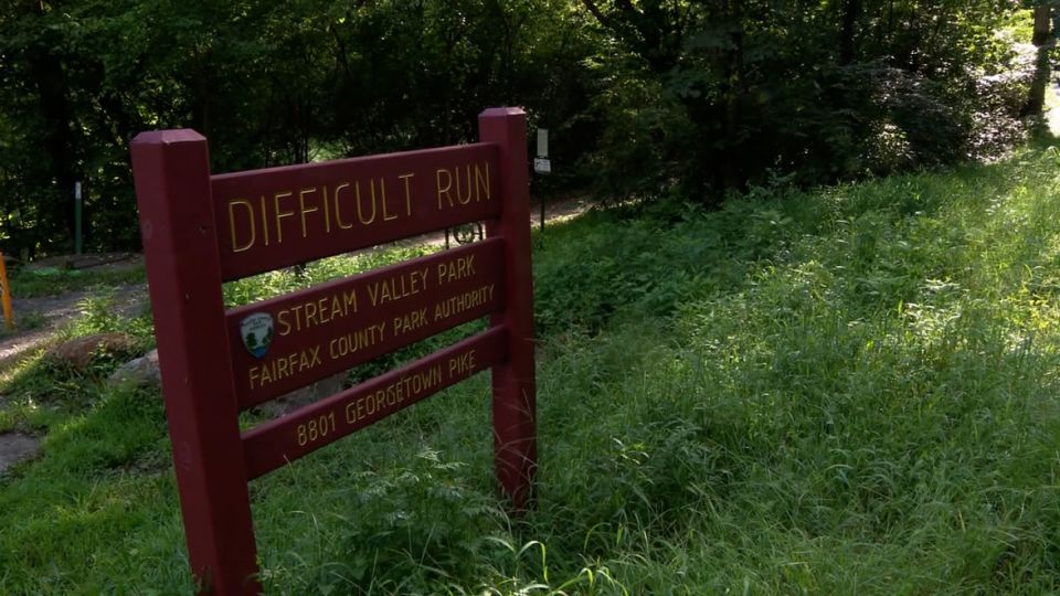 19-year-old arrested in 'brutal' stabbing death of coworker in Great Falls, Virginia police say