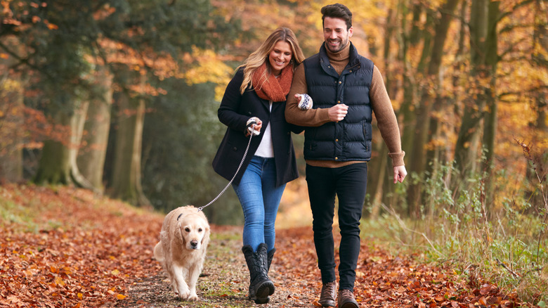 How having a dog can actually help you lose weight