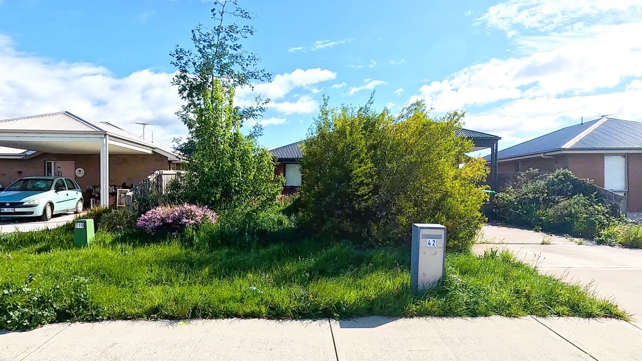 Watch this yard makeover miracle!