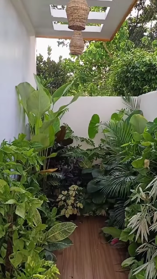 transform-your-space-with-beautiful-indoor-plant-decor