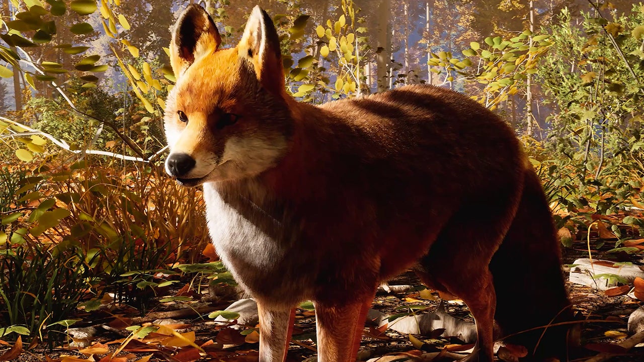 Hunting Simulator 3 - Official release date trailer