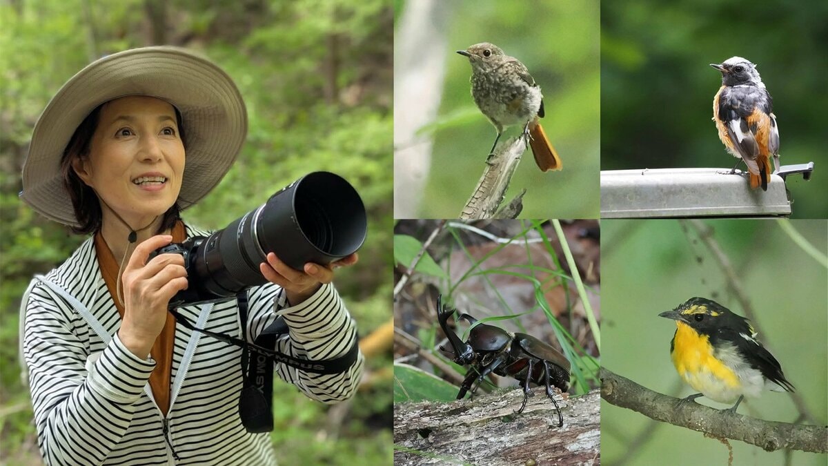 【磯野貴理子】山梨の豊かな自然を満喫 野鳥にカブトムシ 信玄ゆかりの名水まで…大自然に親しむ姿に「自然の空気が伝わる」「目線が素敵」