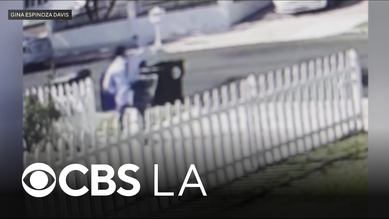 Pasadena neighbors upset after video shows mail carrier throwing rock ...
