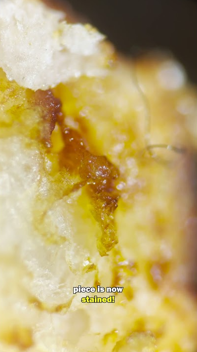 What happens when you smoke one cigarette?