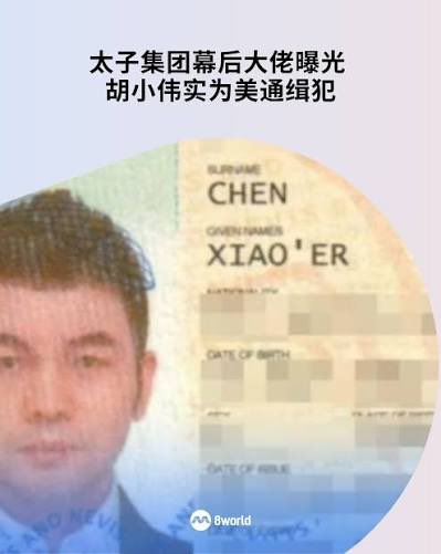 百億洗錢網竟是共諜基地? 太子集團二把手逃日落網 台退役中校涉案遭起訴