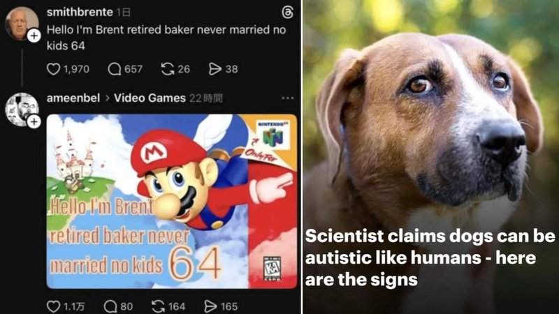 25 unintentionally funny posts from around the internet