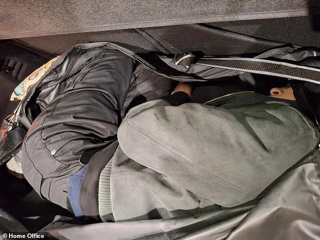 Border Force officers stopped the two vehicles at the Port of Poole after noticing movement in the large sport holdalls in the rears of the vehicles
