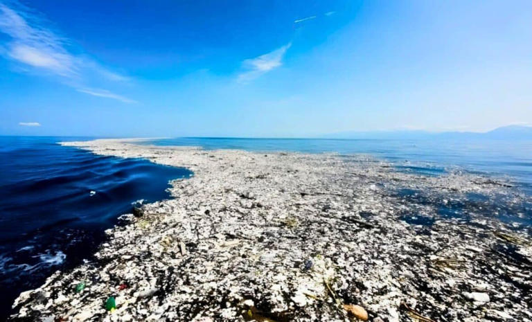 The Great Pacific Garbage Patch, once seen as an ocean wasteland, is ...