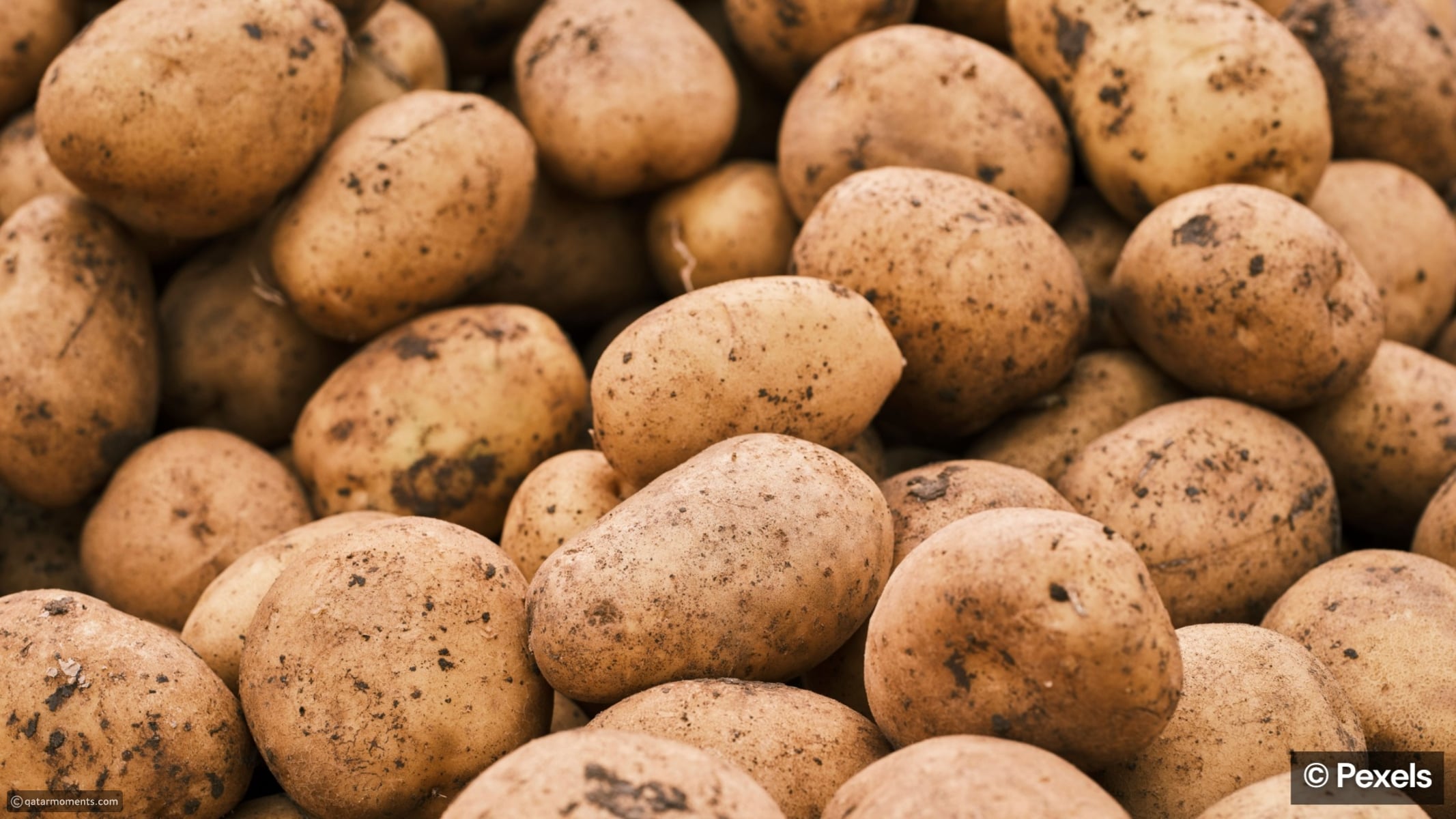 foods-you-should-never-store-in-the-refrigerator
