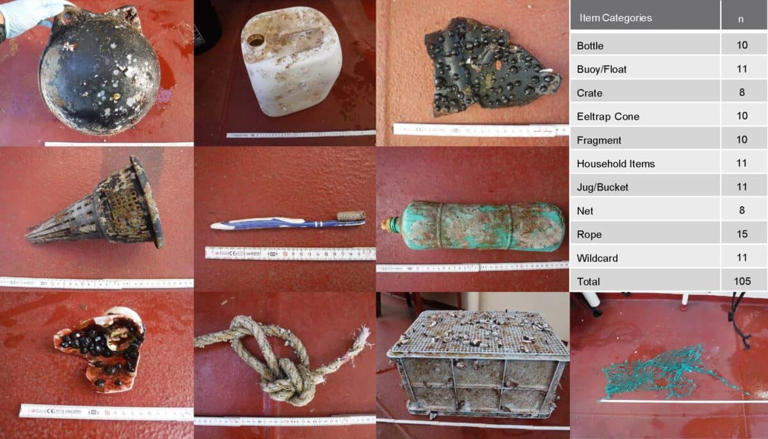 The Great Pacific Garbage Patch, once seen as an ocean wasteland, is ...