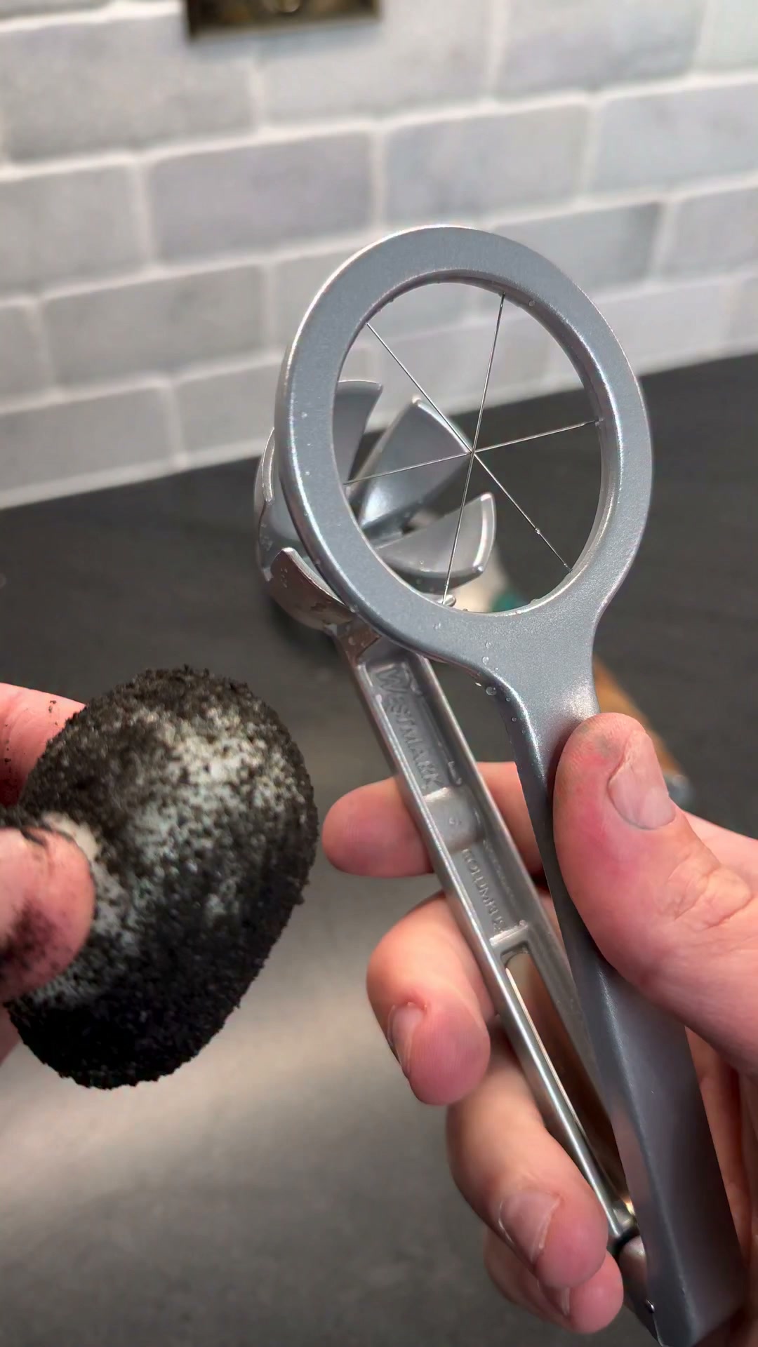 Egg slicer vs. bird egg