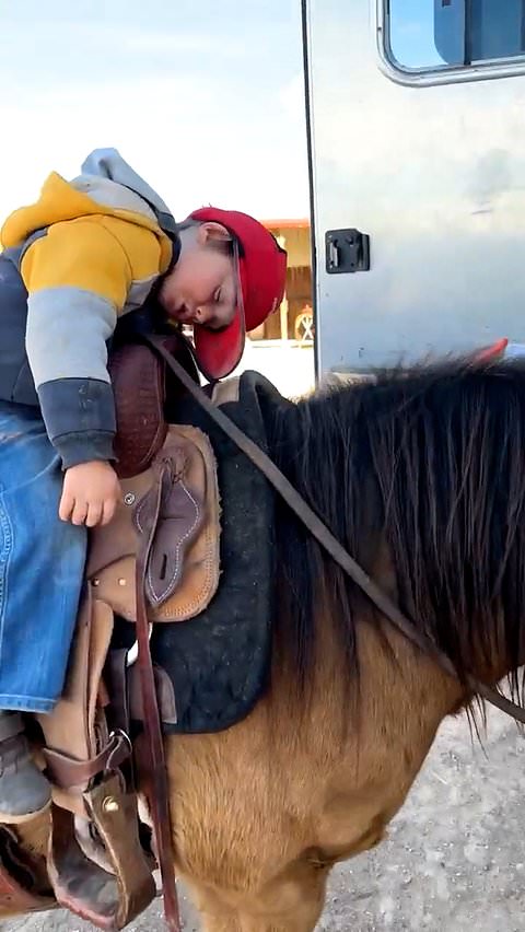 Kid naps on his pony