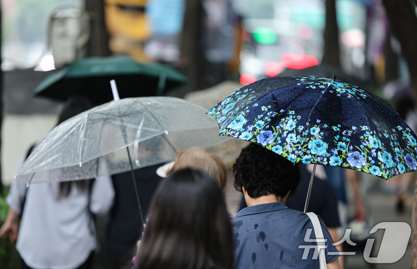 밀양·함양서북부·거창남부 호우주의보 해제