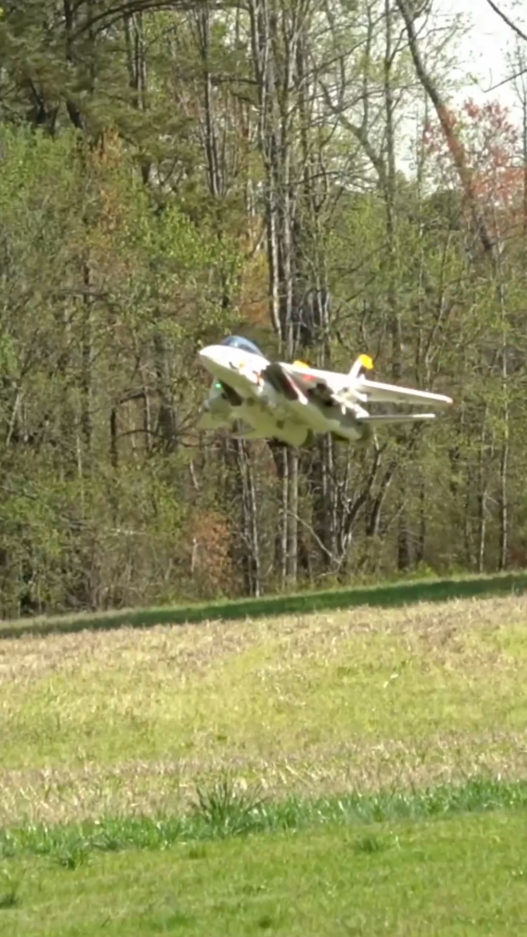 F-14A Tomcat model jet demonstrates extreme flight control