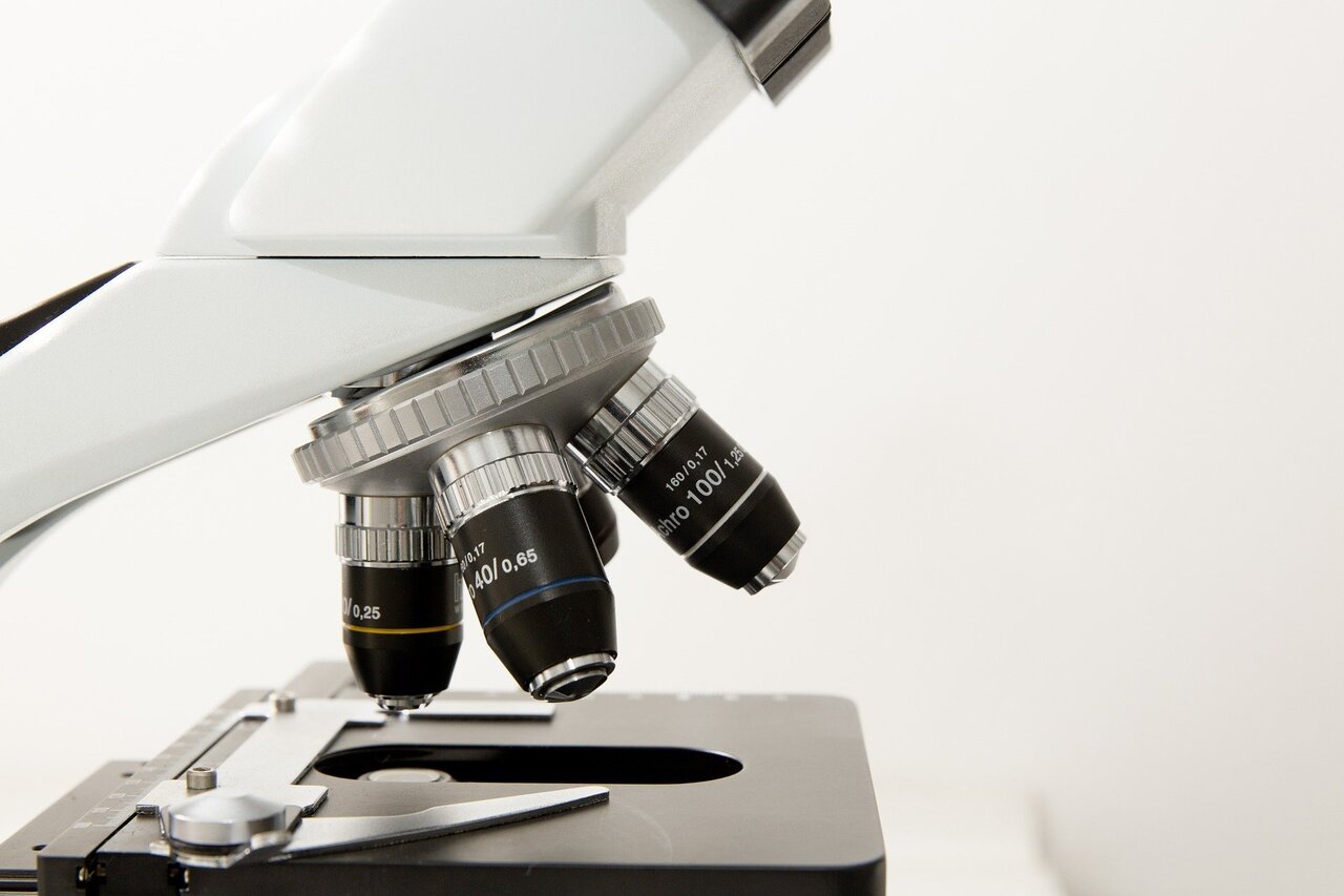 Dietary compound boosts immunosuppressant's effect for lupus treatment